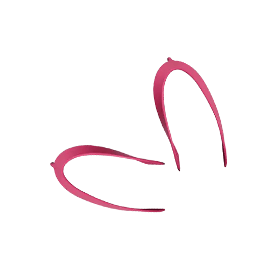 Rose Fuchsia