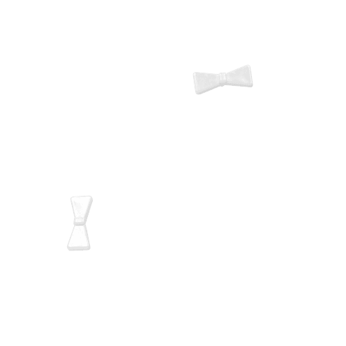 Nœud - Blanc
